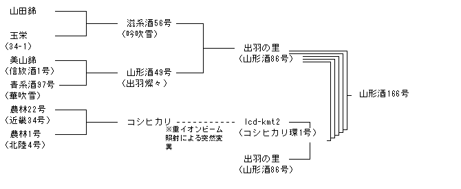 山形酒166号
