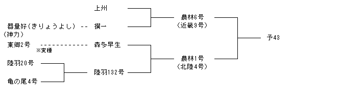 予43