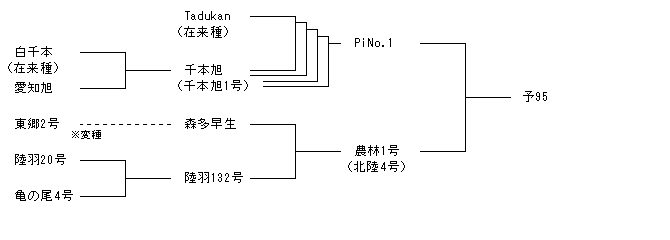 予95