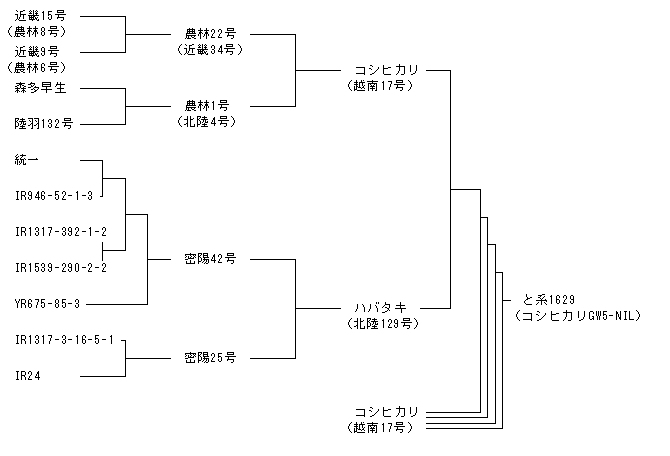 コシヒカリGW5-NIL