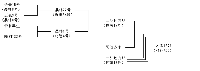 H19KA50